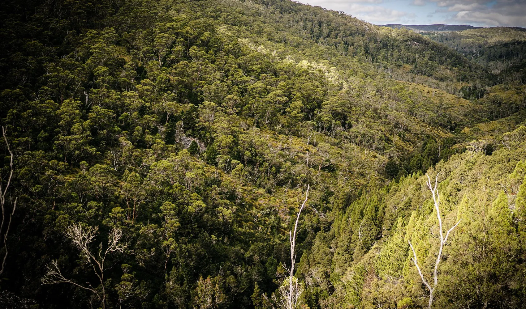 Cradle Mountain Canyons Aerial 1